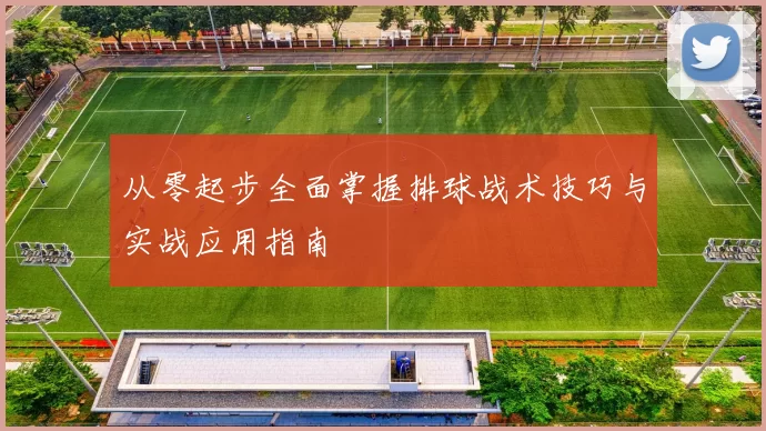 从零起步全面掌握排球战术技巧与实战应用指南