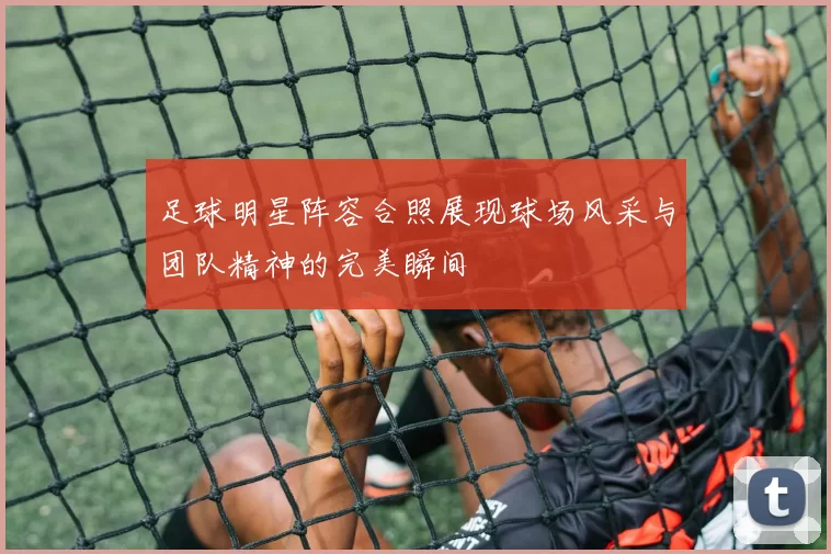 足球明星阵容合照展现球场风采与团队精神的完美瞬间