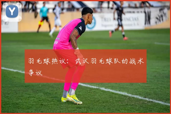 羽毛球热议：武汉羽毛球队的战术争议