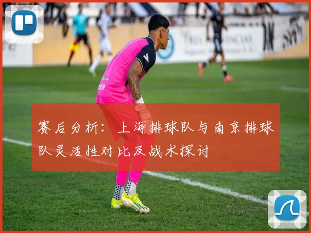 赛后分析：上海排球队与南京排球队灵活性对比及战术探讨